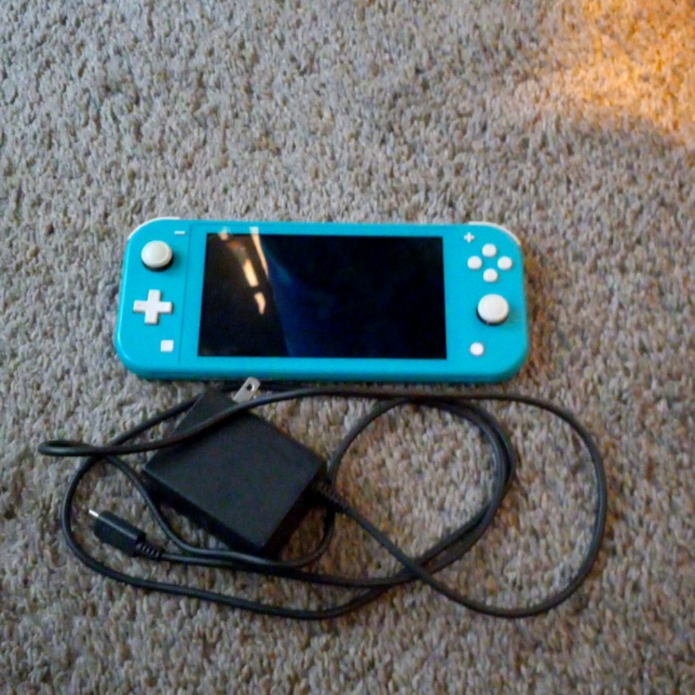 Nintendo switch lite